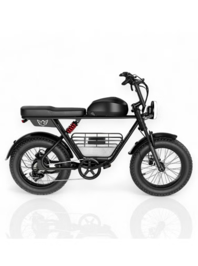 E-Bike D5