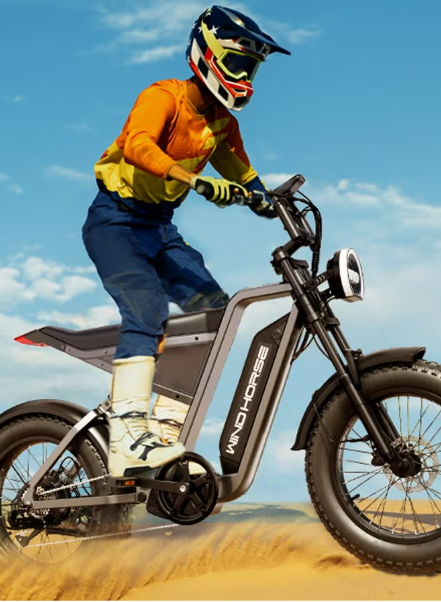 E-Bike D3