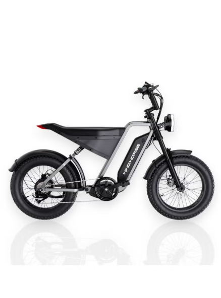 E-Bike D3