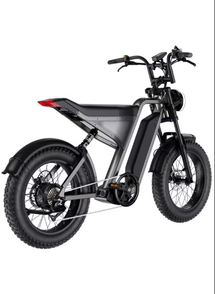 E-Bike D3