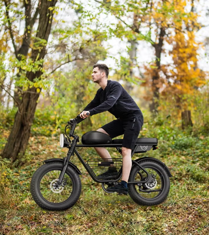 E-Bike D5