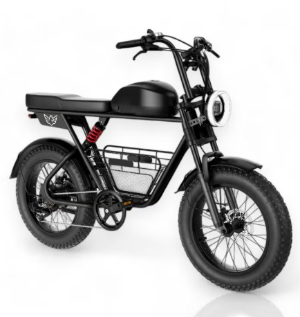 E-Bike D5