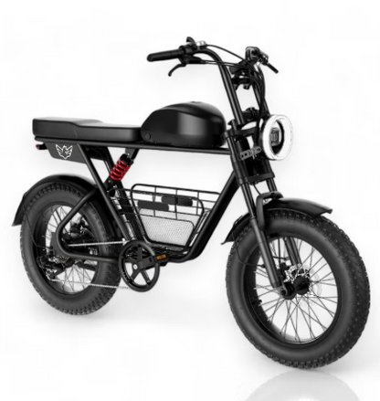 E-Bike D5